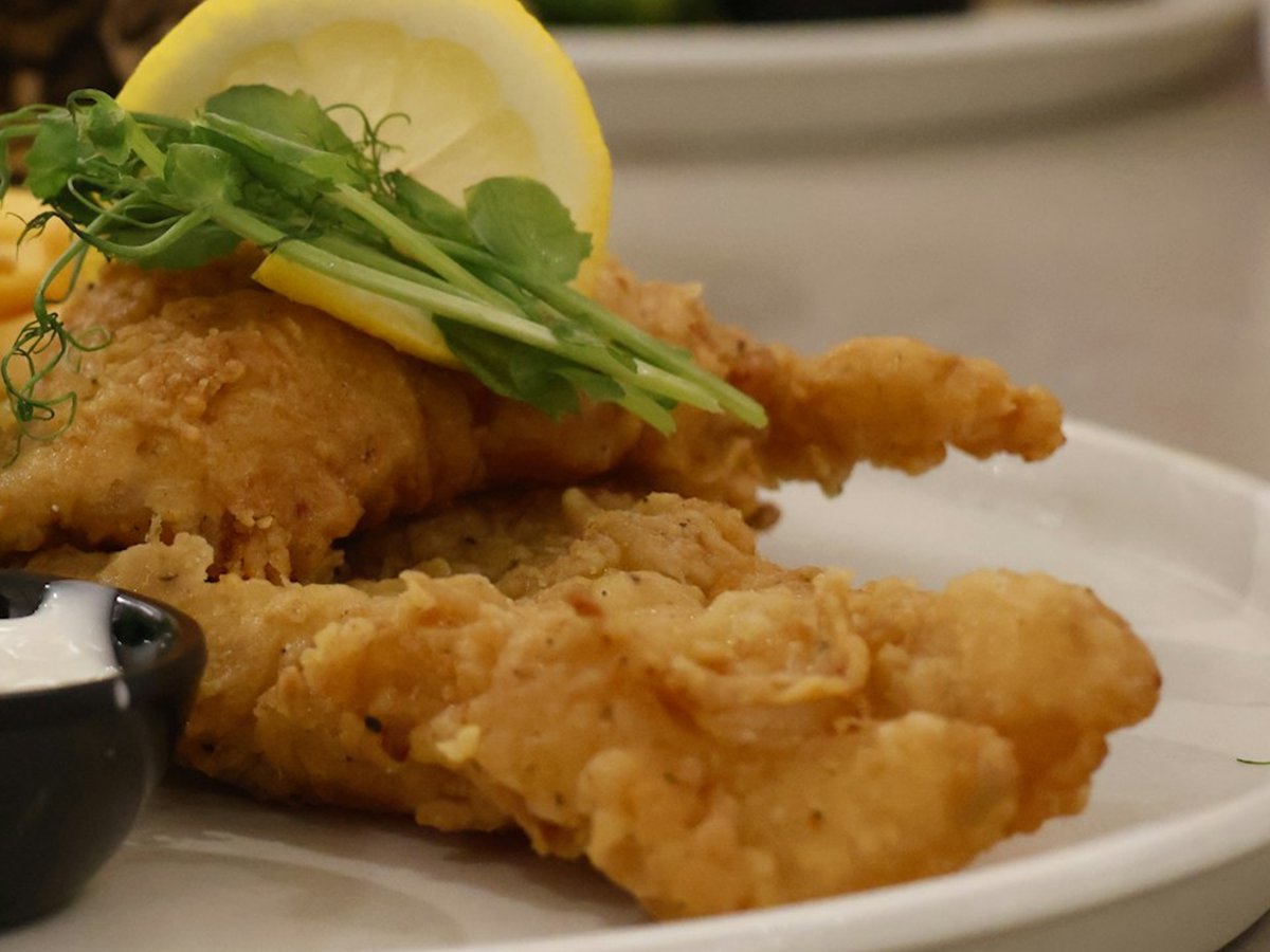 Crispy Cornmeal Catfish with Coleslaw and Cornbread