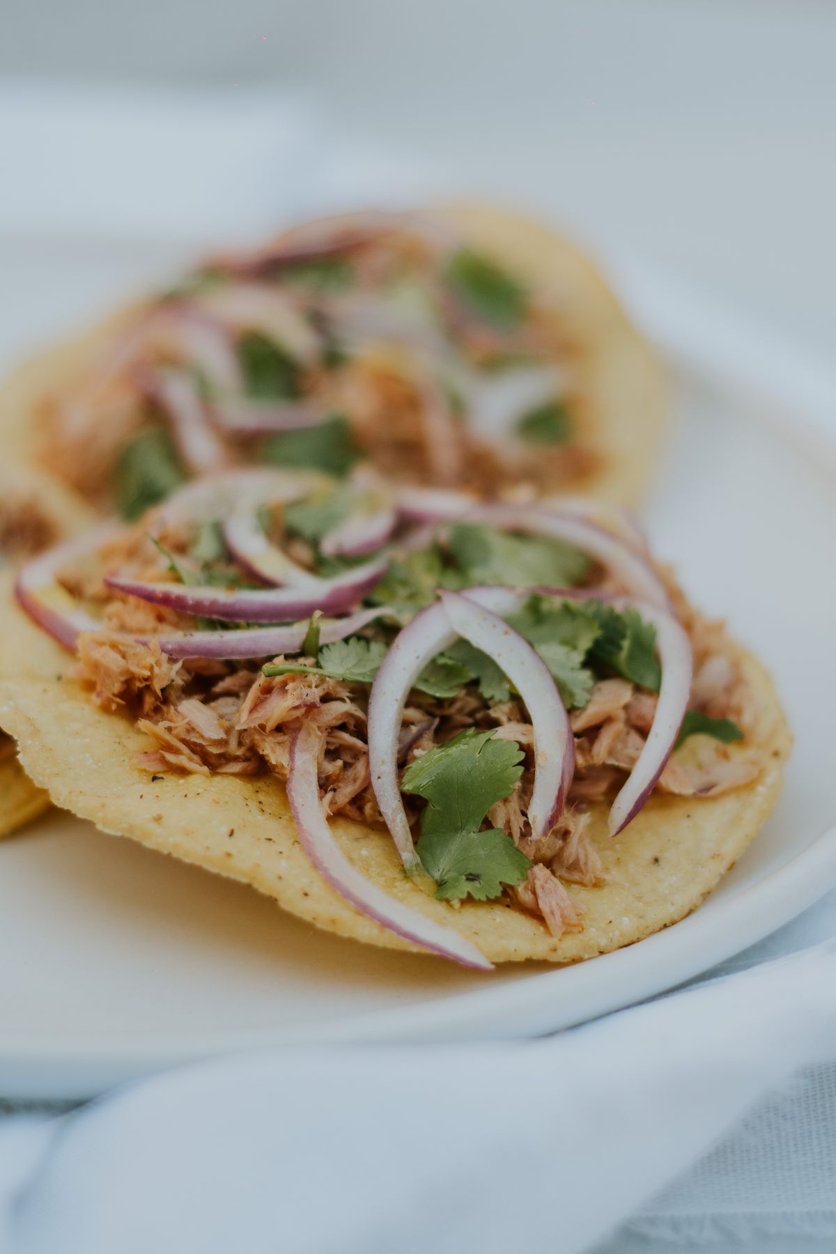 Pork Tinga Tostadas